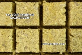 Taş Yünü Fabrikası Maliyeti 2025
