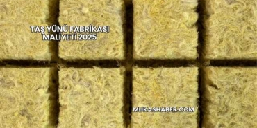 Taş Yünü Fabrikası Maliyeti 2025