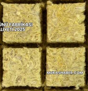 Taş Yünü Fabrikası Maliyeti 2025