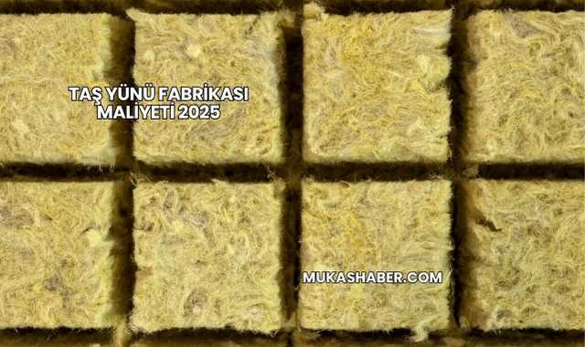 Taş Yünü Fabrikası Maliyeti 2025