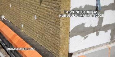 Taşyünü Fabrikası Kurulumu Maliyeti 2025