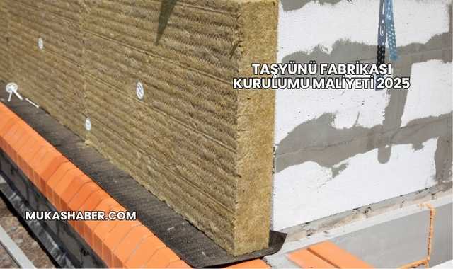 Taşyünü Fabrikası Kurulumu Maliyeti 2025