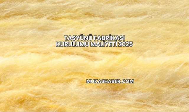 Taşyünü Fabrikası Kurulumu Maliyeti 2025