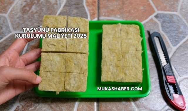 Taşyünü Fabrikası Kurulumu Maliyeti 2025