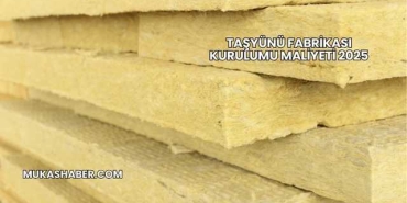 Taşyünü Fabrikası Kurulumu Maliyeti 2025