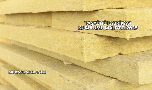 Taşyünü Fabrikası Kurulumu Maliyeti 2025