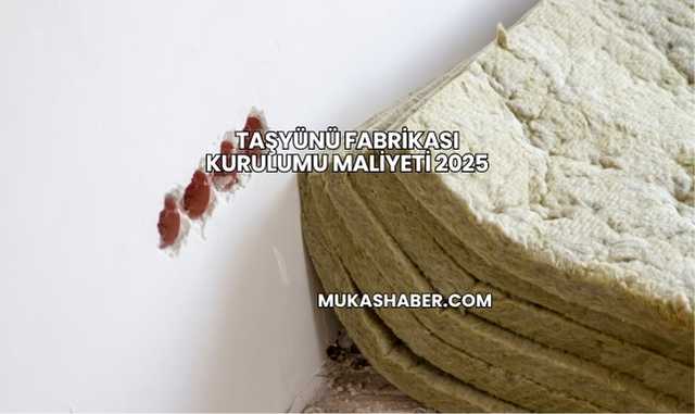 Taşyünü Fabrikası Kurulumu Maliyeti 2025