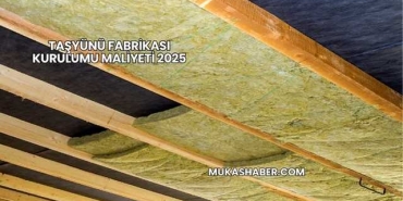 Taşyünü Fabrikası Kurulumu Maliyeti 2025