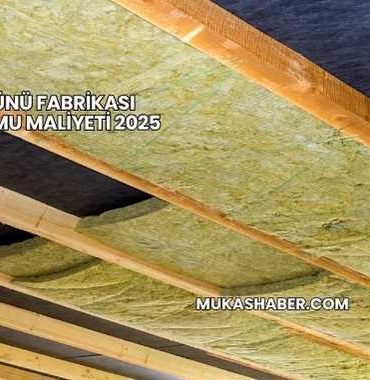 Taşyünü Fabrikası Kurulumu Maliyeti 2025