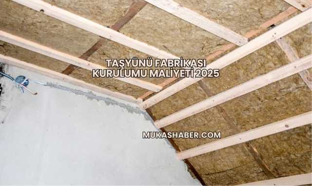 Taşyünü Fabrikası Kurulumu Maliyeti 2025