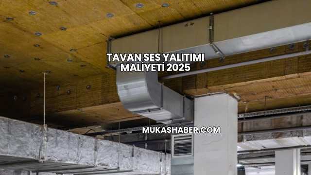 Tavan Ses Yalıtımı Maliyeti 2025