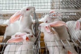 Tavşan Çiftliği Kurma Maliyeti 2025