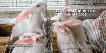 Tavşan Çiftliği Kurma Maliyeti 2025