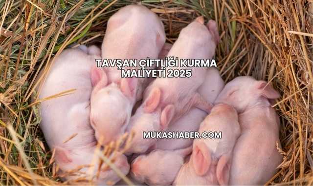 Tavşan Çiftliği Kurma Maliyeti 2025