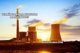 Termik Santral Kurulum Maliyeti 2025