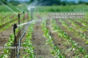 Toprak Altı Damlama Sulama Maliyeti 2025