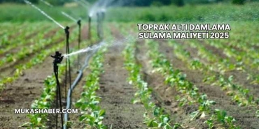 Toprak Altı Damlama Sulama Maliyeti 2025