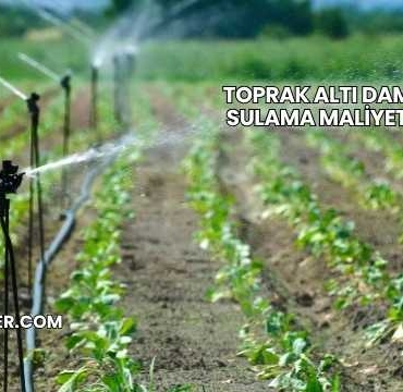 Toprak Altı Damlama Sulama Maliyeti 2025