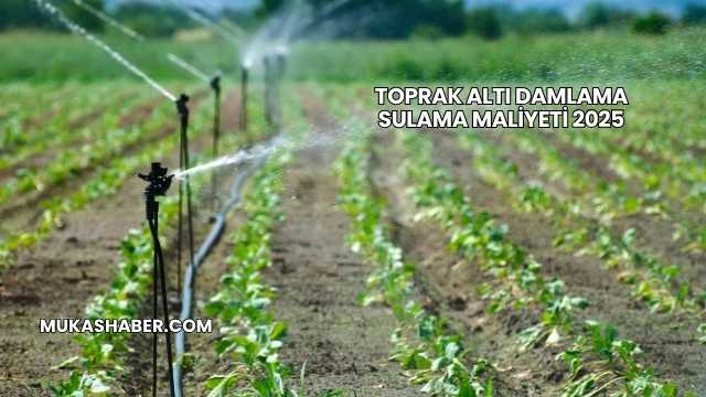 Toprak Altı Damlama Sulama Maliyeti 2025