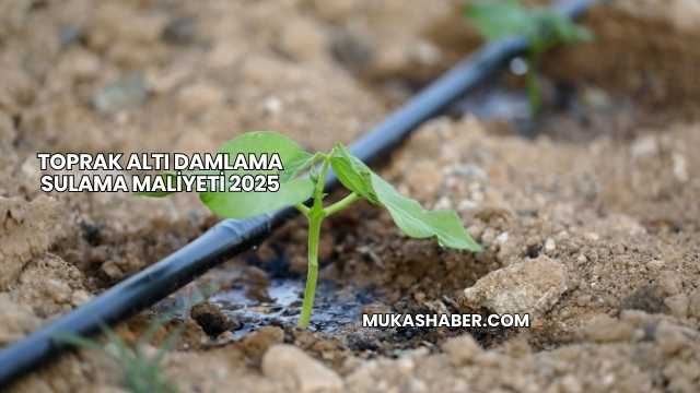 Toprak Altı Damlama Sulama Maliyeti 2025
