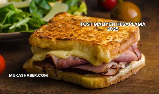Tost Maliyeti Hesaplama 2025
