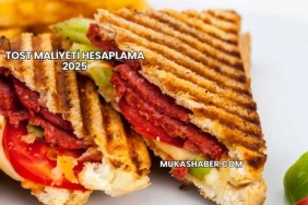 Tost Maliyeti Hesaplama 2025