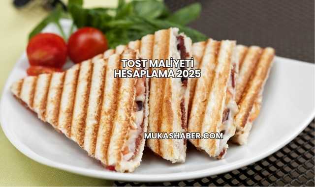 Tost Maliyeti Hesaplama 2025