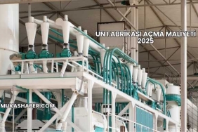 Un Fabrikası Açma Maliyeti 2025