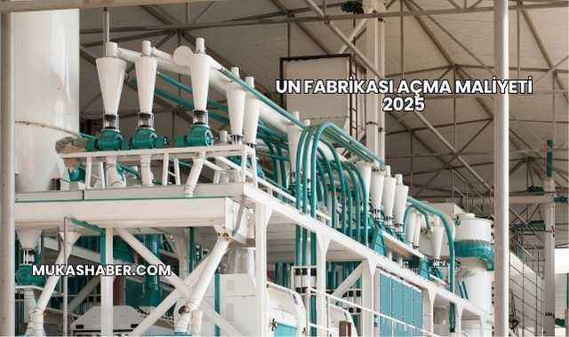 Un Fabrikası Açma Maliyeti 2025