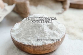 Un Fabrikası Açma Maliyeti 2025