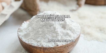 Un Fabrikası Açma Maliyeti 2025