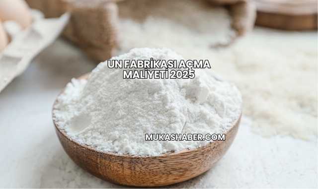 Un Fabrikası Açma Maliyeti 2025