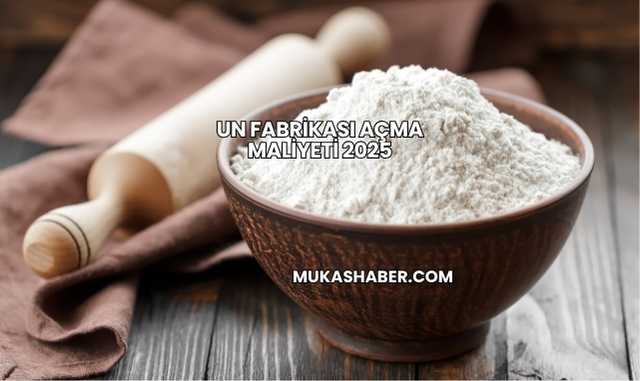 Un Fabrikası Açma Maliyeti 2025