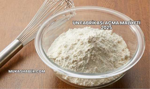 Un Fabrikası Açma Maliyeti 2025
