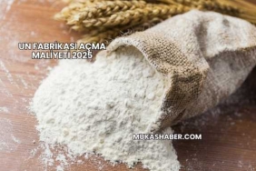 Un Fabrikası Açma Maliyeti 2025