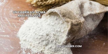 Un Fabrikası Açma Maliyeti 2025