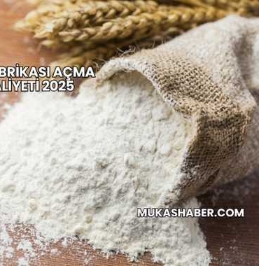 Un Fabrikası Açma Maliyeti 2025