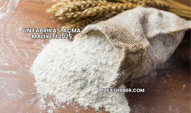Un Fabrikası Açma Maliyeti 2025