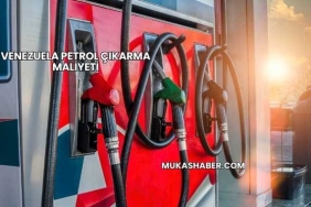 Venezuela Petrol Çıkarma Maliyeti