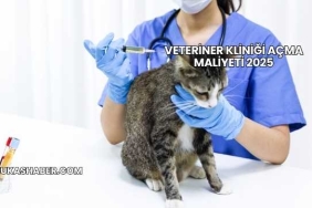 Veteriner Kliniği Açma Maliyeti 2025