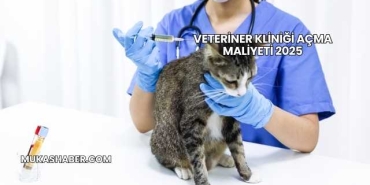 Veteriner Kliniği Açma Maliyeti 2025