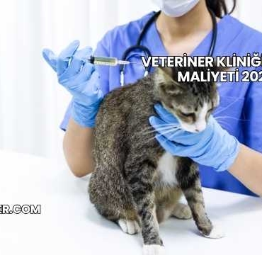 Veteriner Kliniği Açma Maliyeti 2025