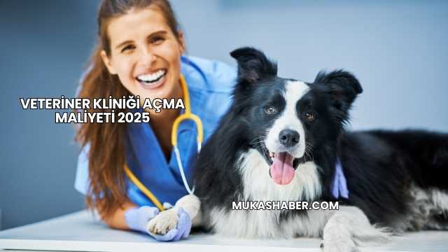 Veteriner Kliniği Açma Maliyeti 2025