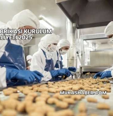 Yemek Fabrikası Kurulum Maliyeti 2025
