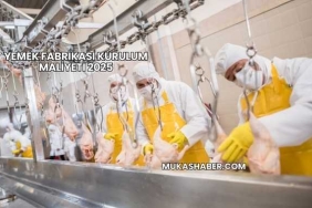 Yemek Fabrikası Kurulum Maliyeti 2025