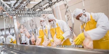 Yemek Fabrikası Kurulum Maliyeti 2025