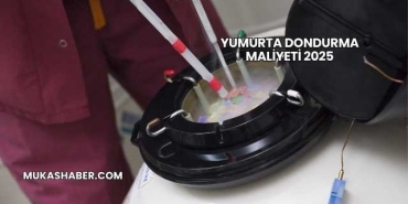 Yumurta Dondurma Maliyeti 2025