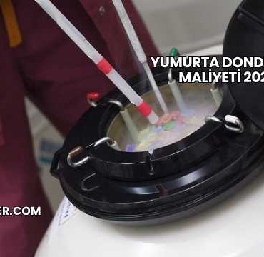 Yumurta Dondurma Maliyeti 2025