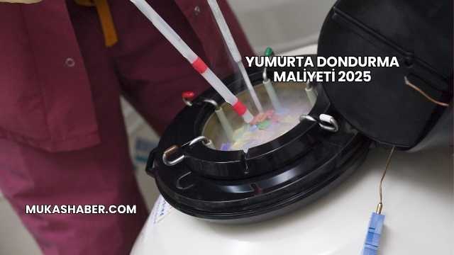 Yumurta Dondurma Maliyeti 2025