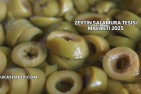 Zeytin Salamura Tesisi Maliyeti 2025
